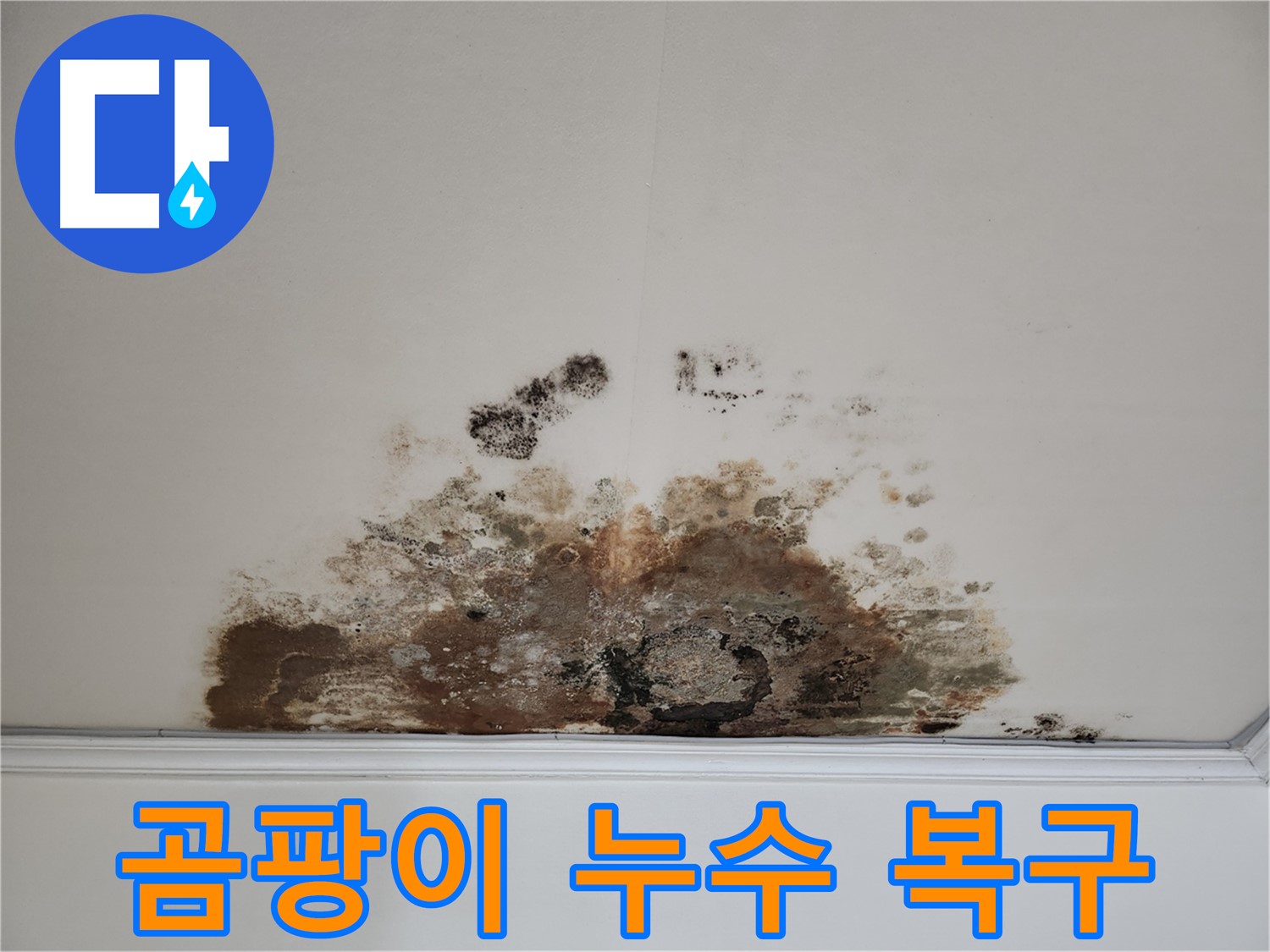 용강동 아파트 곰팡이 누수 - 100% 완벽 복구 고객 만족 후기