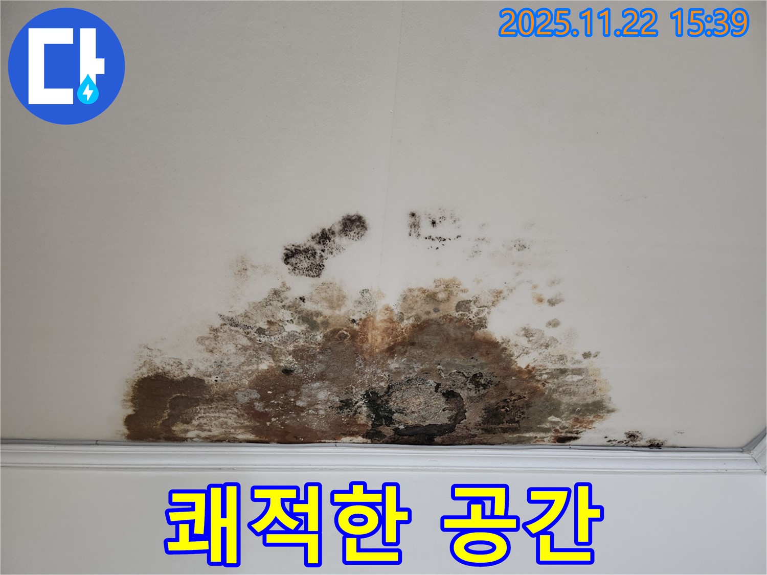 용강동 아파트 천장 - 곰팡이 누수 해결 후 쾌적한 공간으로