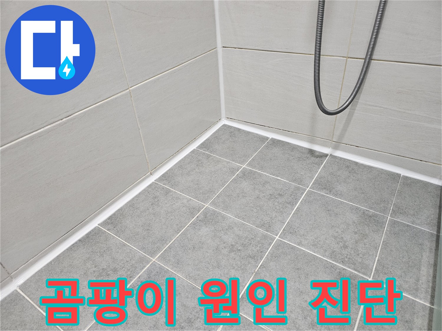 마포 도화동 현대1차 아파트 욕실 - 곰팡이 제거 및 곰팡이 발생 원인 진단으로 곰팡이 재발을 막으세요.