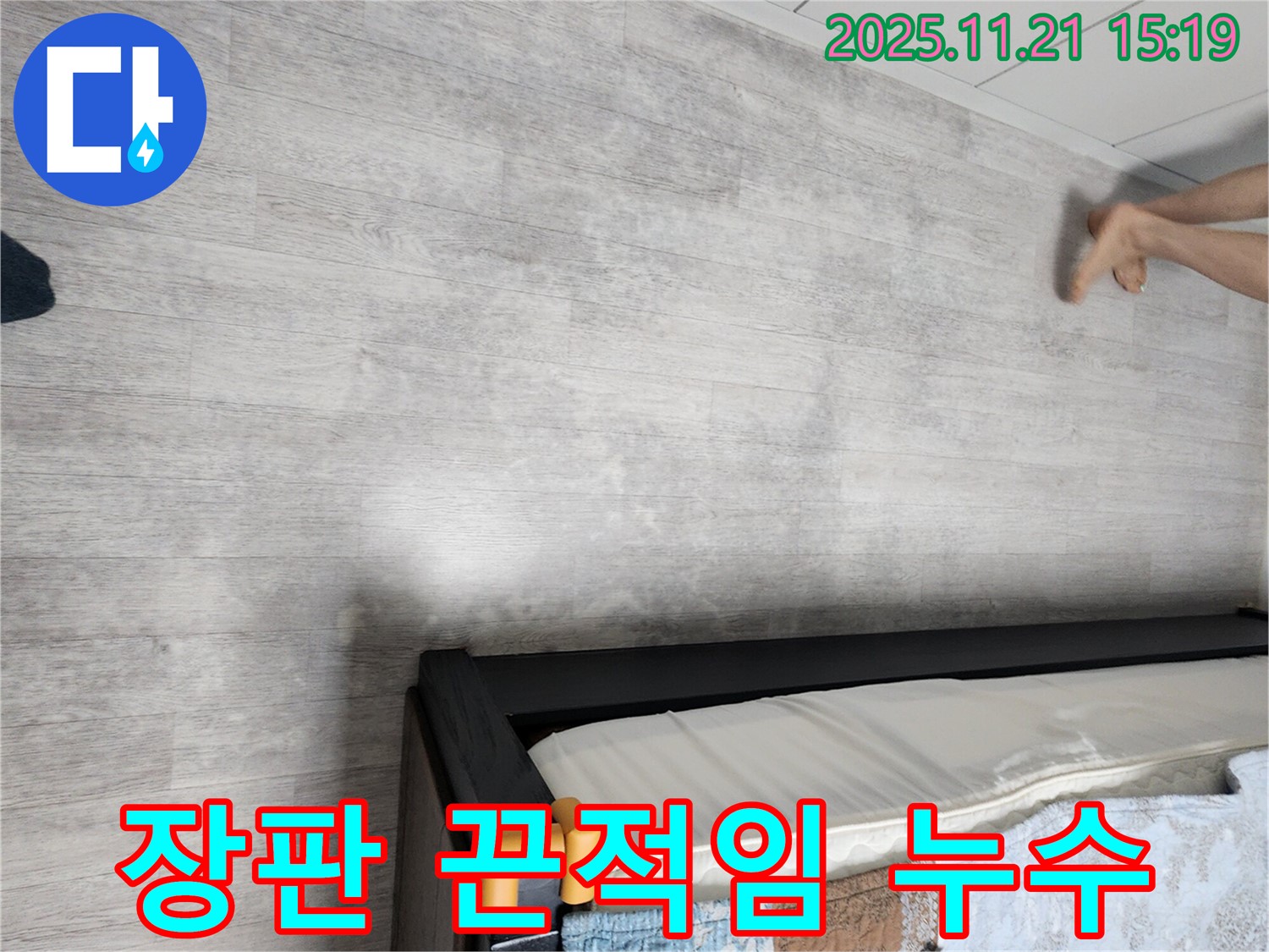 가산면 정교리 누수 - 장판 끈적임, 누수 가능성 확인 필요