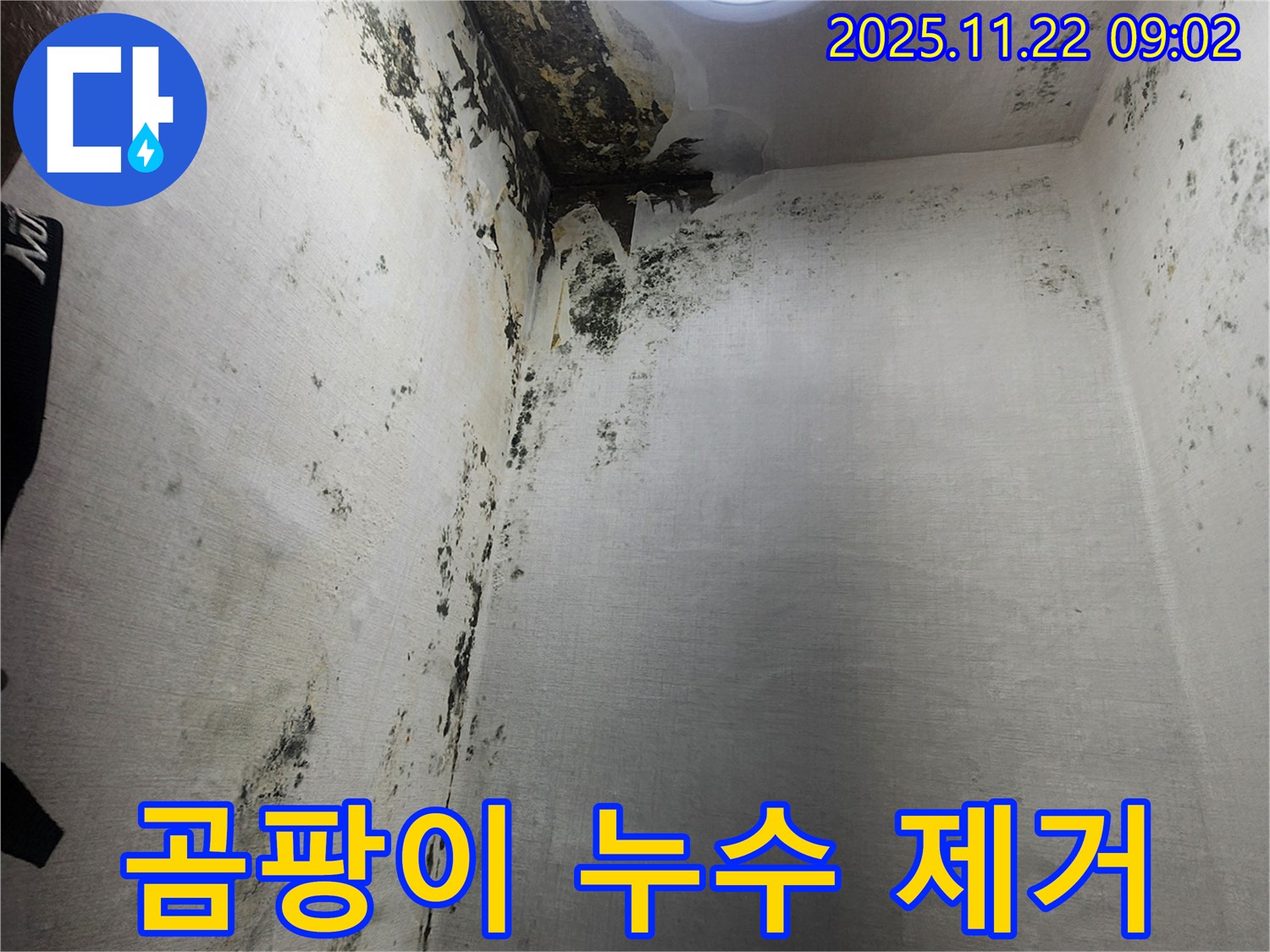 신곡1동 곰팡이 누수 - 곰팡이 없는 깨끗한 공간으로 만들어 드립니다