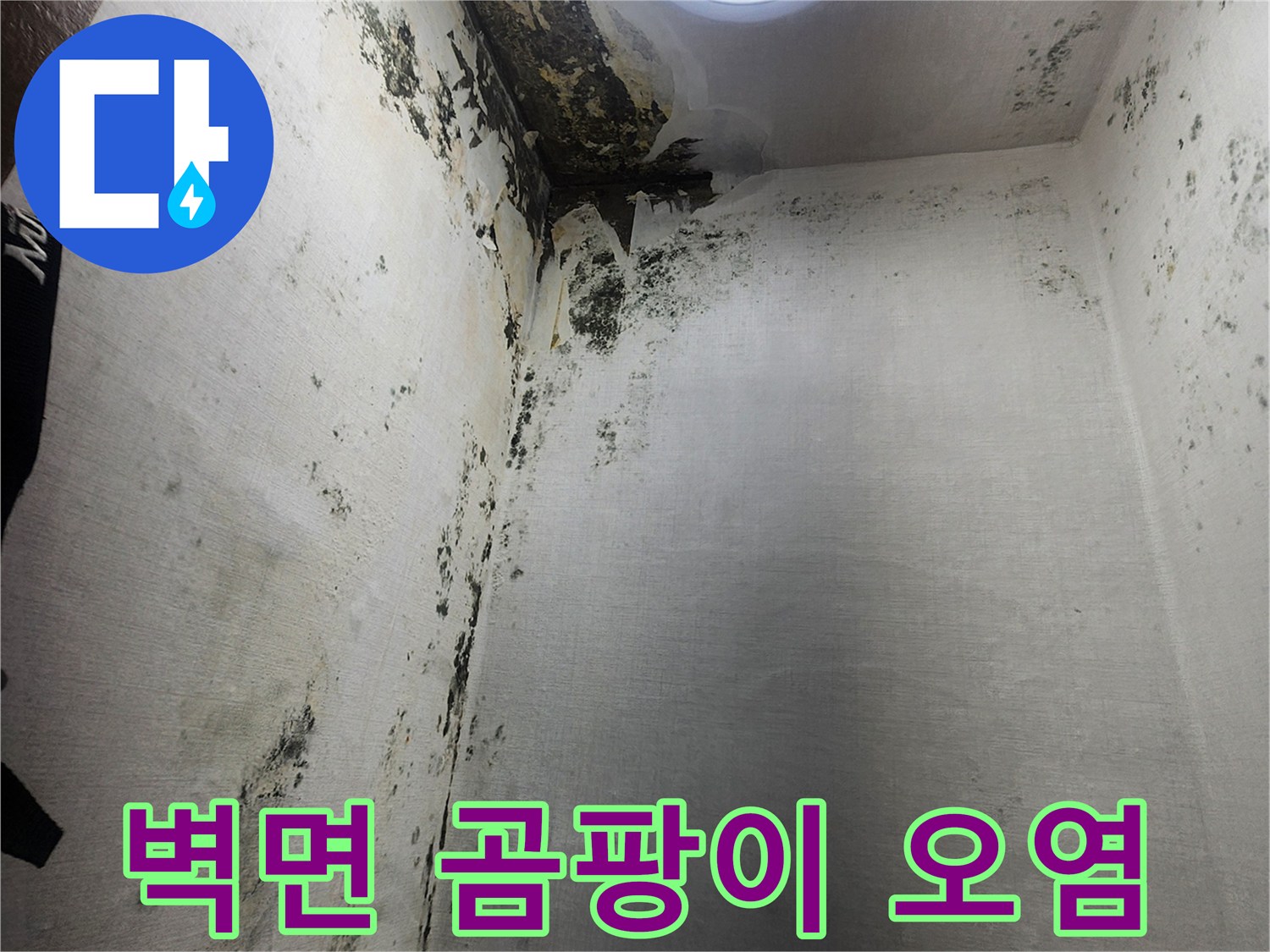 의정 Sping동 현장-다용도실 벽면 곰팡이와 부식된 상태