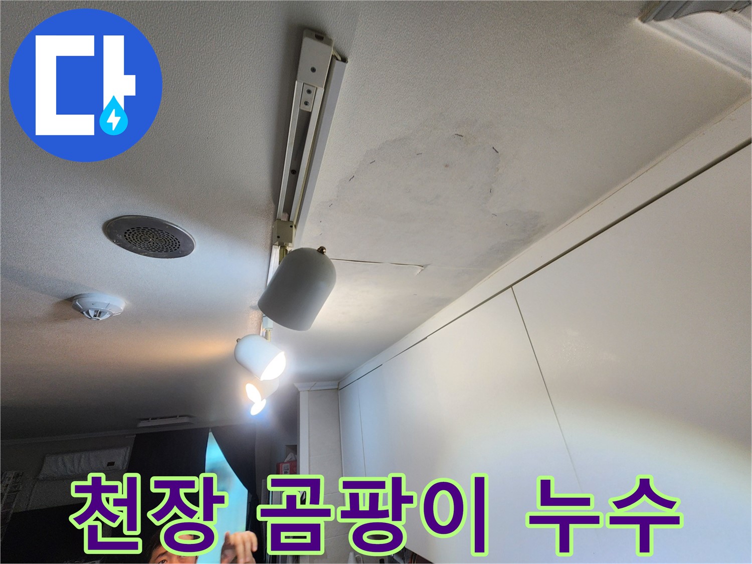 공릉2단지 아파트 누수 - 천장 곰팡이로 인한 건강 위협 - 긴급 점검 실시