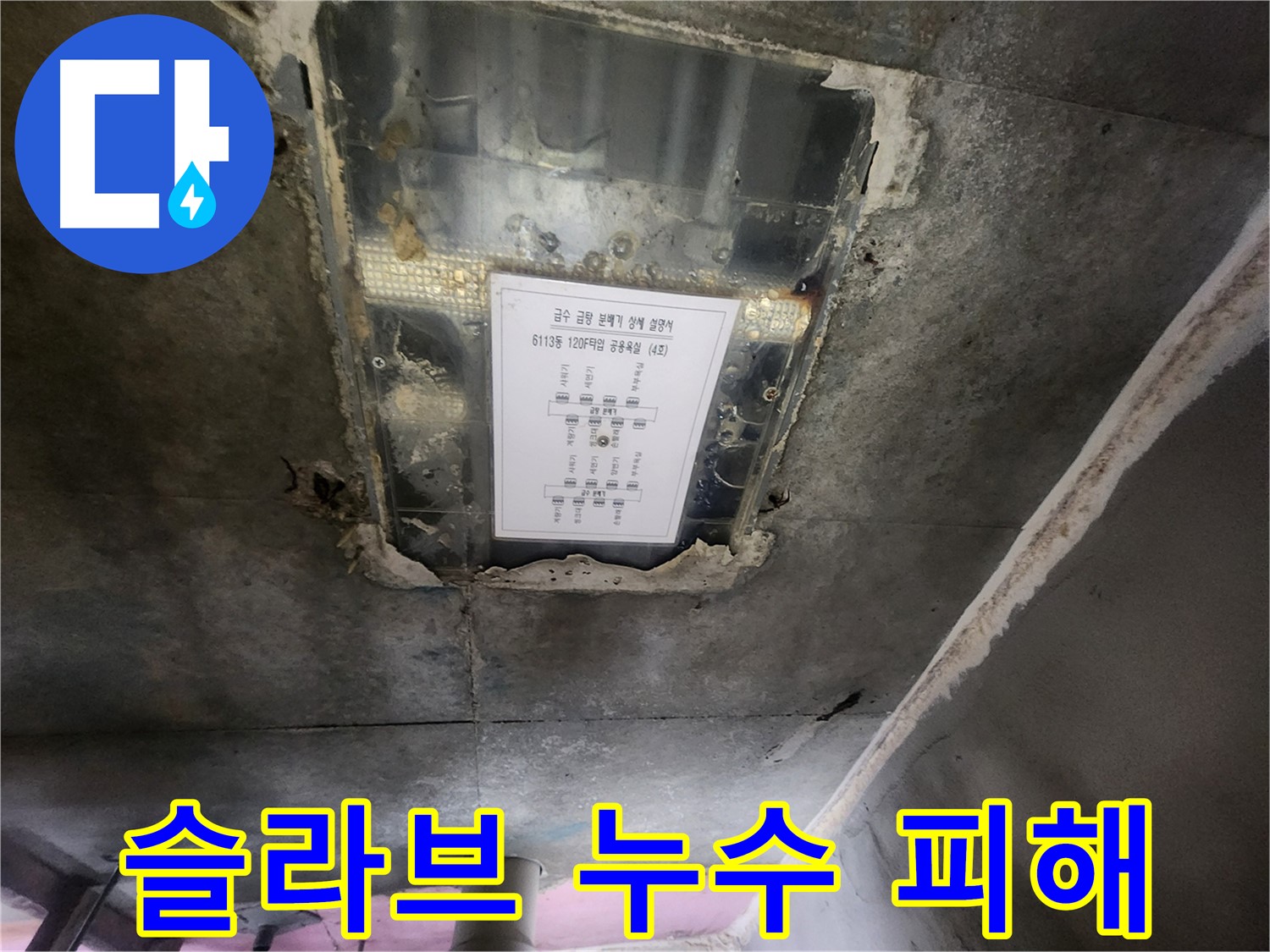 광교 e편한세상 아파트 슬라브 누수 - 아랫집 피해를 막기 위한 긴급 점검 및 보수