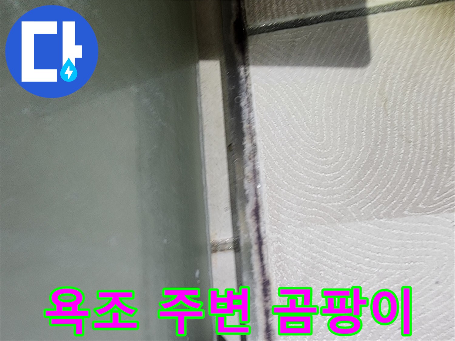 수원시 영통구 누수 - 욕조 주변 실리콘 곰팡이 심각한 상태