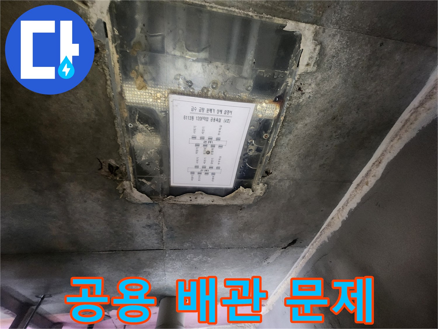 이의동 아파트 누수 - 천장 누수, 공용 배관 문제로 인한 누수