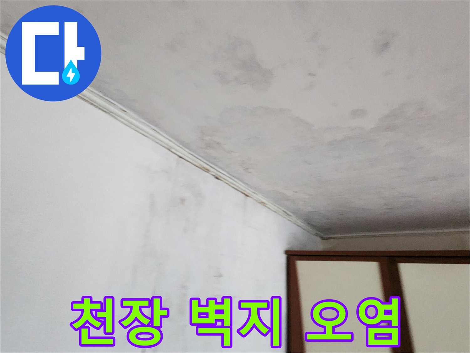 누수로 인해 젖고 곰팡이가 발생한 천장 부위