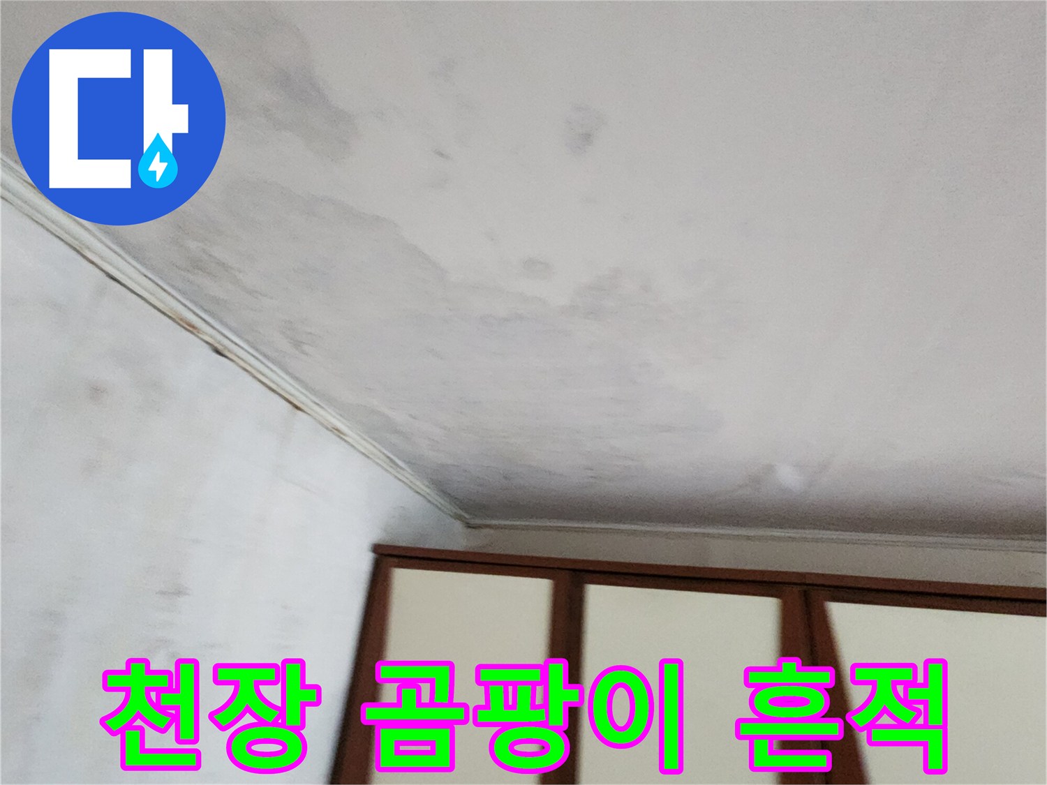 벽지 표면에 나타난 곰팡이 및 습기 오염 부위