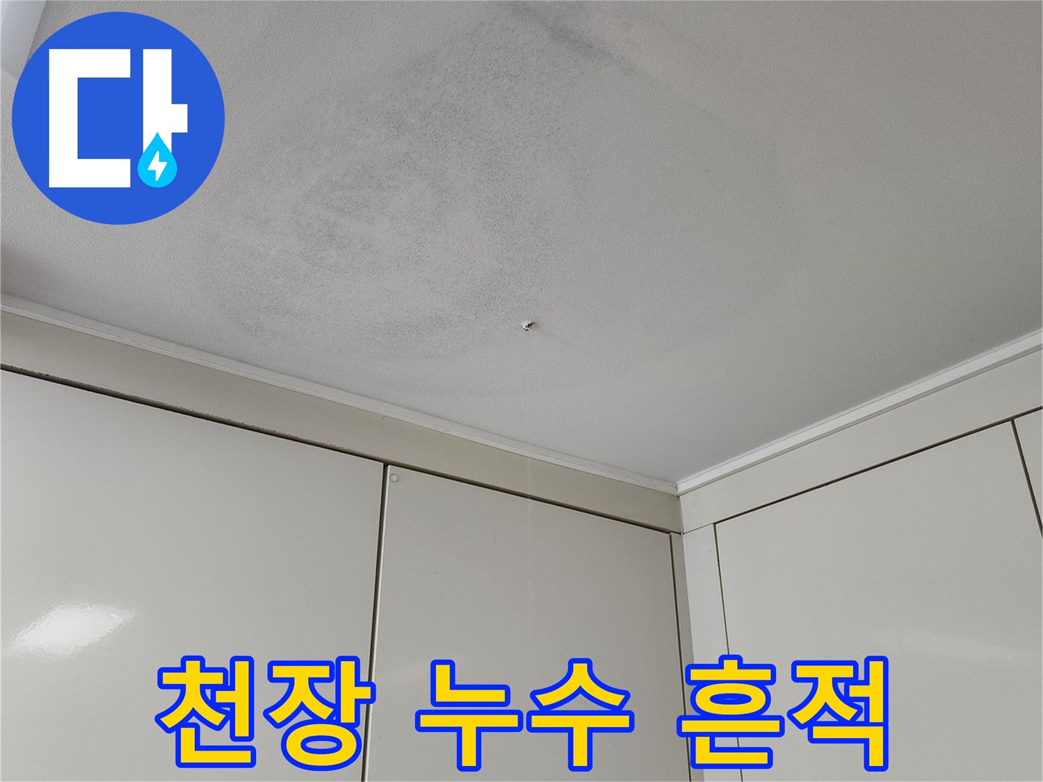천장 내부에서 흘러나온 물로 인한 곰팡이 오염 부위