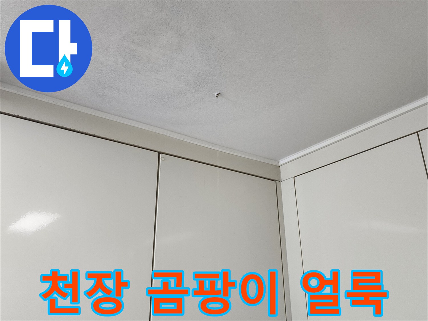 천장 벽지 부근에 넓게 퍼진 곰팡이와 습기 흔적
