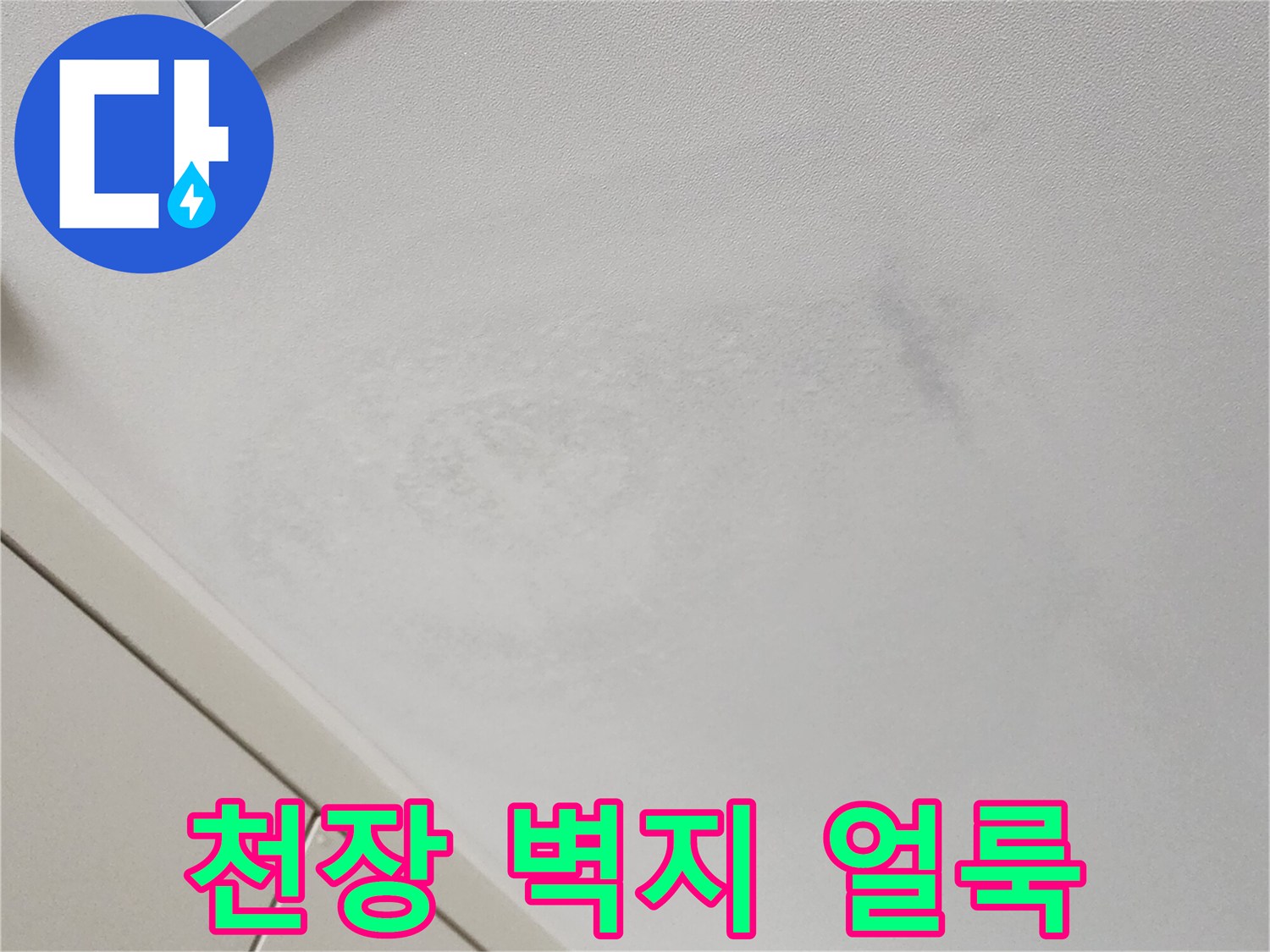 포천 가산면 현장-천장 벽지에 발생한 곰лю이와 변색된 얼룩 상태