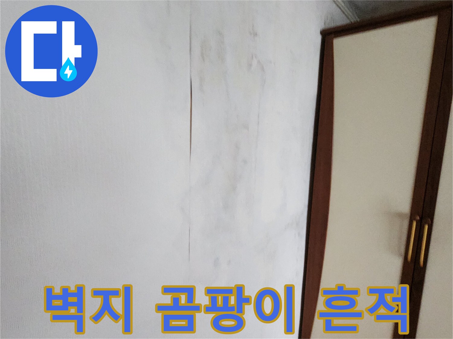 포천 가산면 현장의-벽지 곰팡이와 습기 흔적