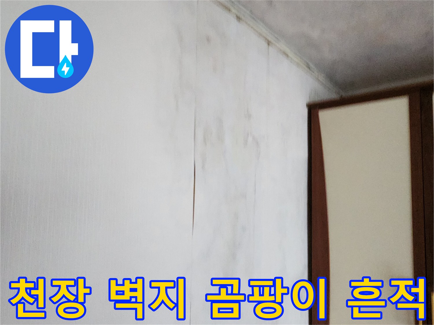 포천 가산면 현장의 천장 및 벽면 상단 곰팡이 오염 상태