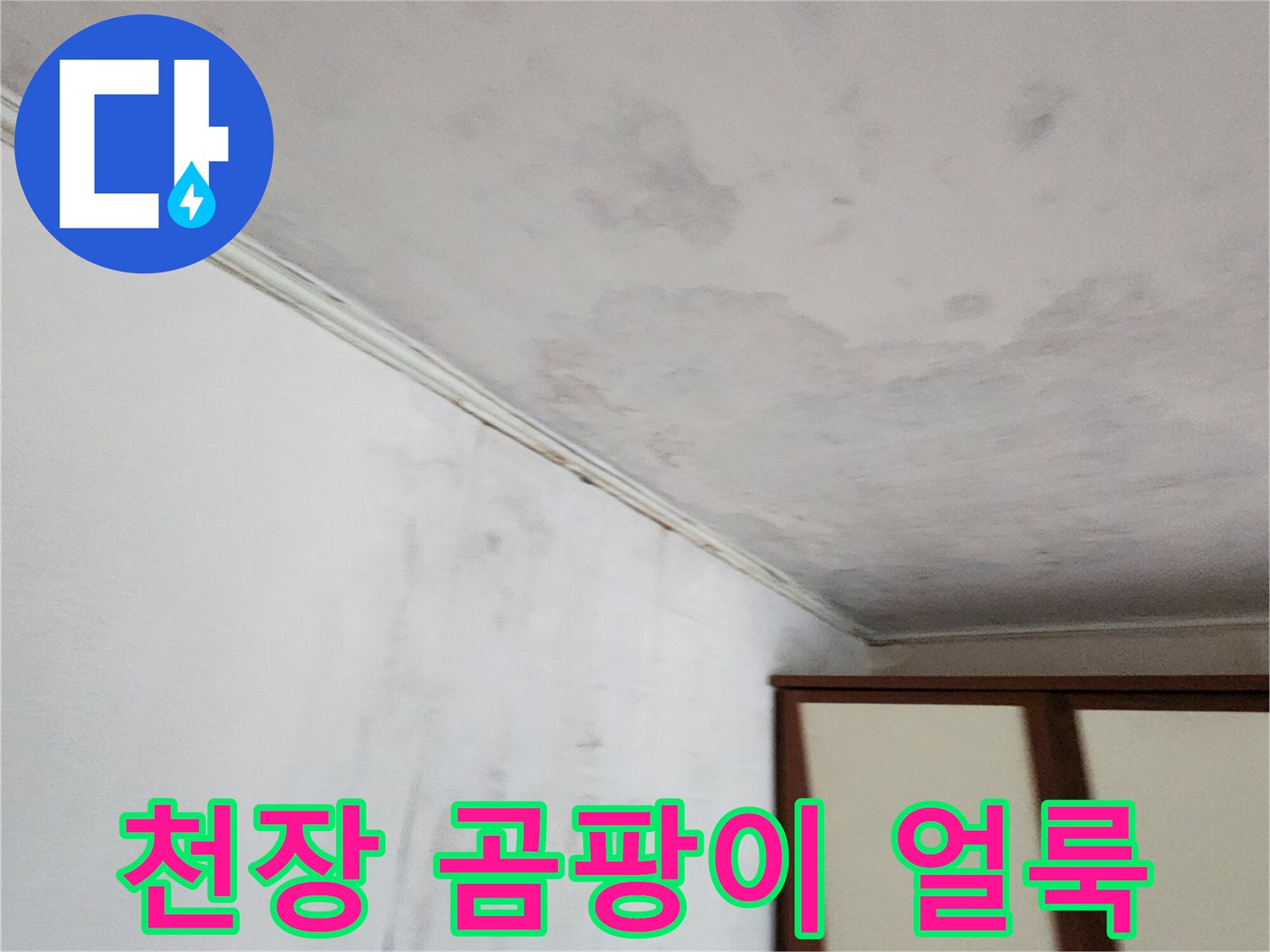 포천 가산면 현장의 천장 벽지 곰팡이 및 변색 상태
