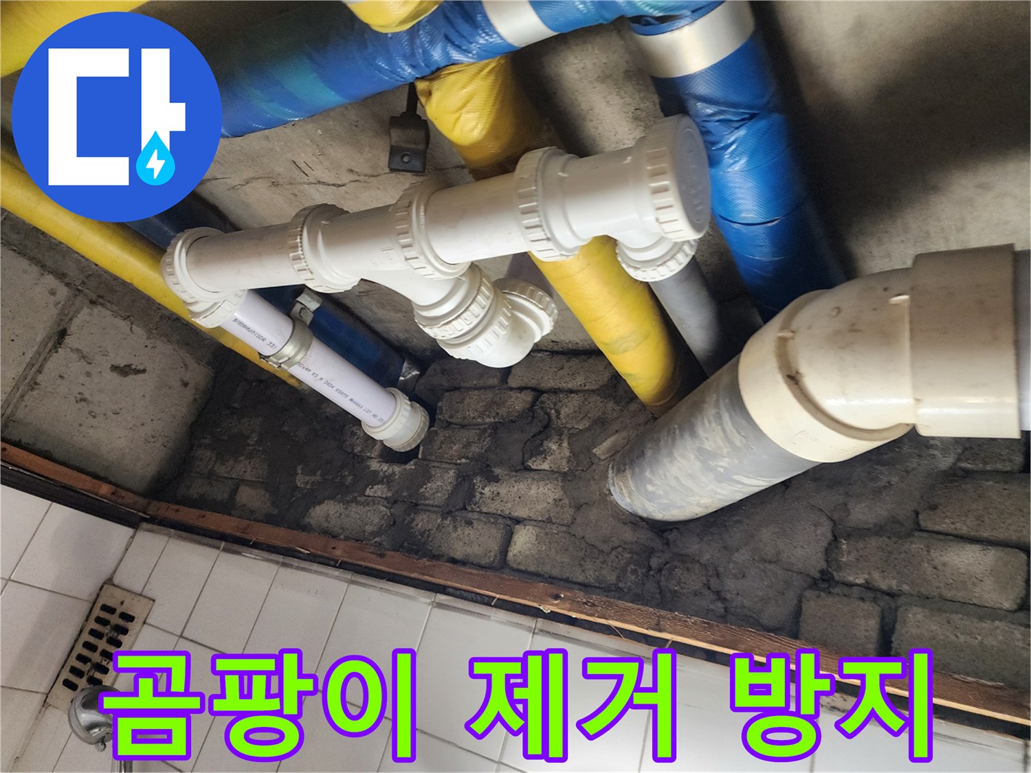 곰팡이 완벽 제거 - 깨끗하고 쾌적하게