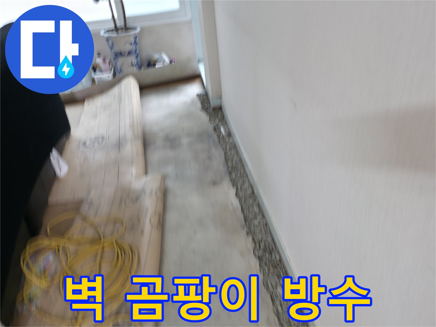 벽 곰팡이 제거 후 방수 작업으로 누수를 완벽하게 차단하는 서초 누수 현장 이미지