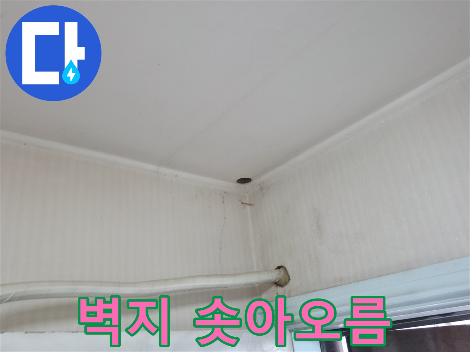 서초구 서초2동 누수 - 아랫집 벽에 물이 흐른다면 윗집 누수일 가능성이 매우 높습니다.