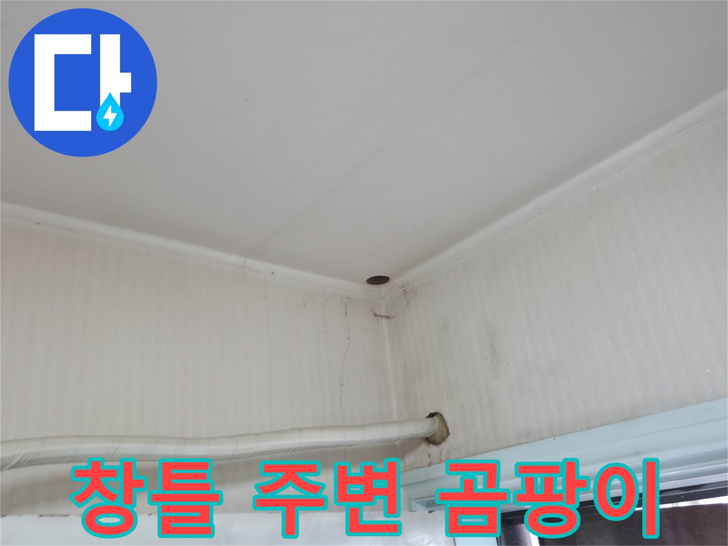 서초구 서초2동 누수 - 외벽 크랙을 통해 빗물이 침투하여 누수가 발생한 모습.
