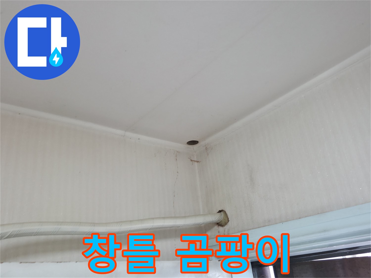 서초2동 명달로4길 창틀 곰팡이 - 겨울철 누수 의심!