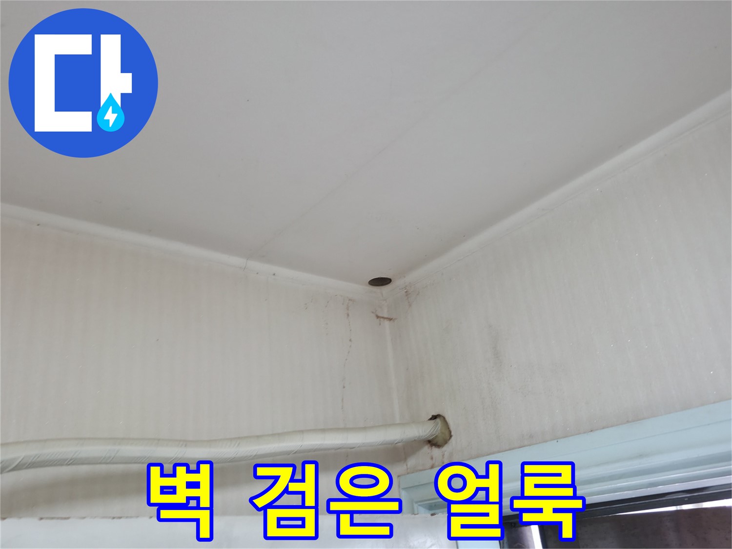 서초2동 벽 검은 얼룩 - 곰팡이와 누수의 합작품일 수 있습니다.