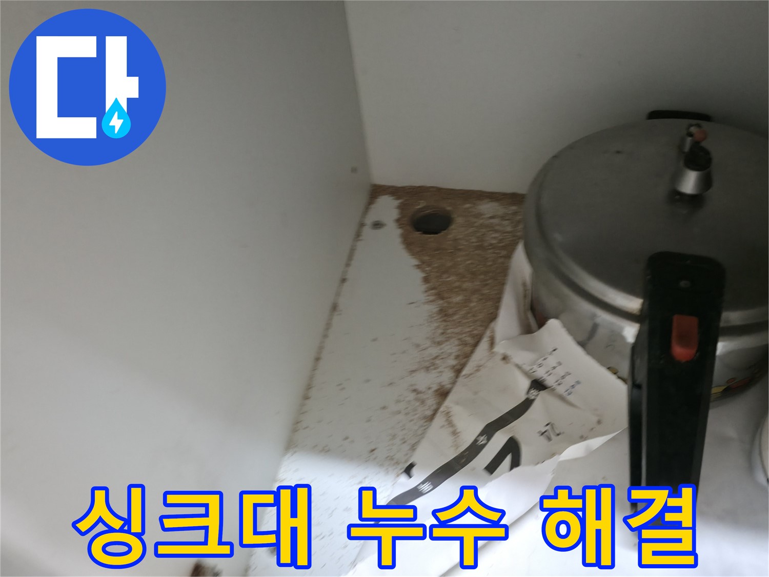 싱크대 밑 - 톱밥 - 곰팡이 냄새 - 건강 위협