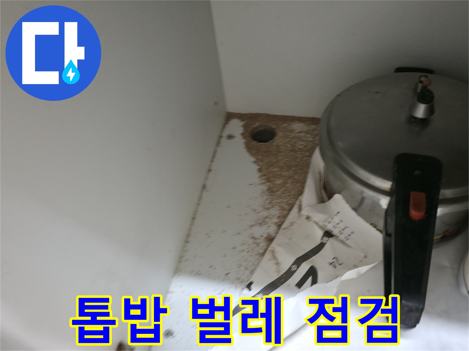 서초2동 싱크대 누수 - 톱밥, 벌레 문제 긴급 점검 후 깨끗, 확실 해결