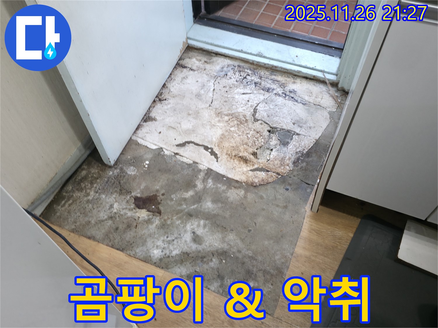 서초2동 현관 바닥 곰팡이 및 악취 - 건강 위협, 곰팡이 및 냄새 제거