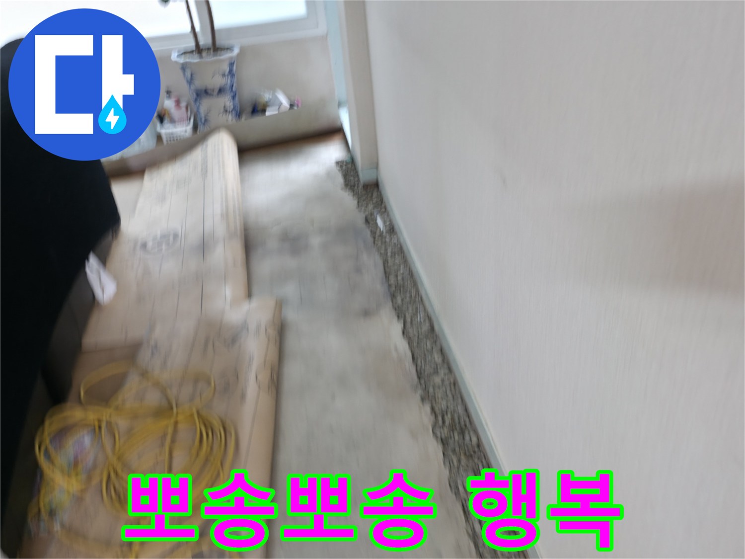 서초2동에서 눅눅한 벽은 이제 그만! 뽀송뽀송한 공간에서 행복 시작하세요!