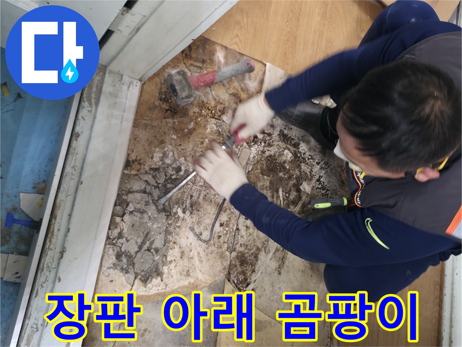 서초구 명달로 장판 아래 곰팡이 - 누수로 인해 장판 아래에 심하게 번식한 곰팡이의 모습입니다.
