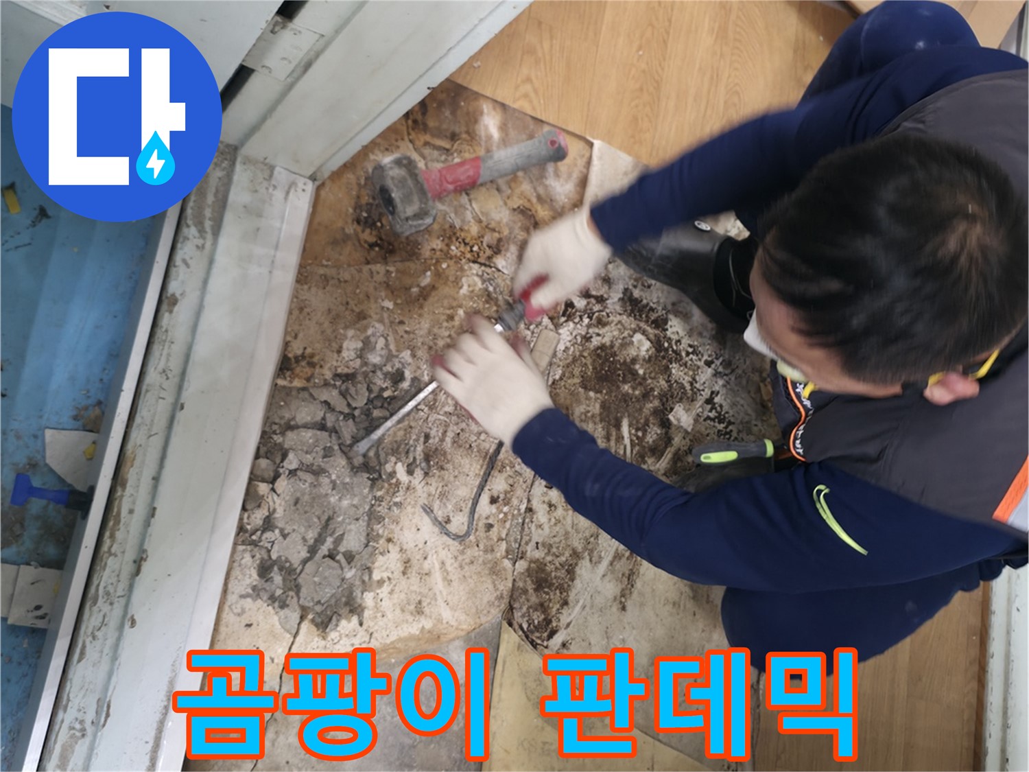 서초구 서초2동 명달로50 - 습기를 완벽하게 제거하고 쾌적해진 공간의 모습입니다.