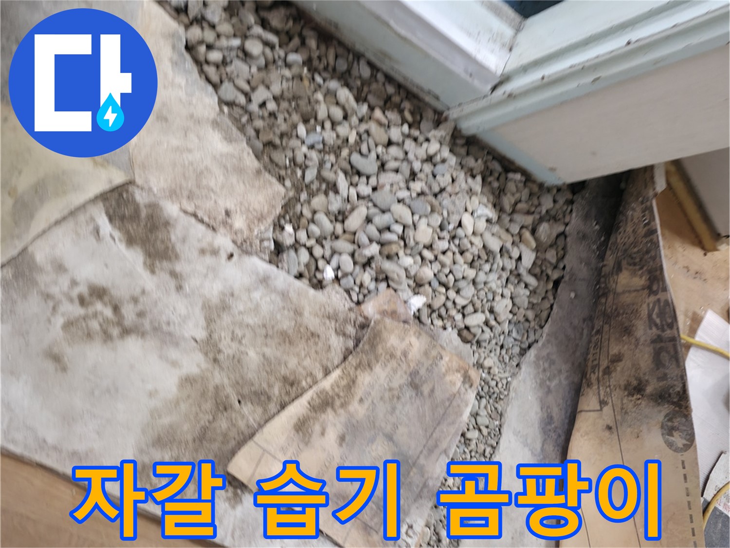 서초구 명달로4길 건물 누수 - 바닥 속 자갈이 습기를 머금어 누수를 악화시키고 곰팡이까지 유발합니다!