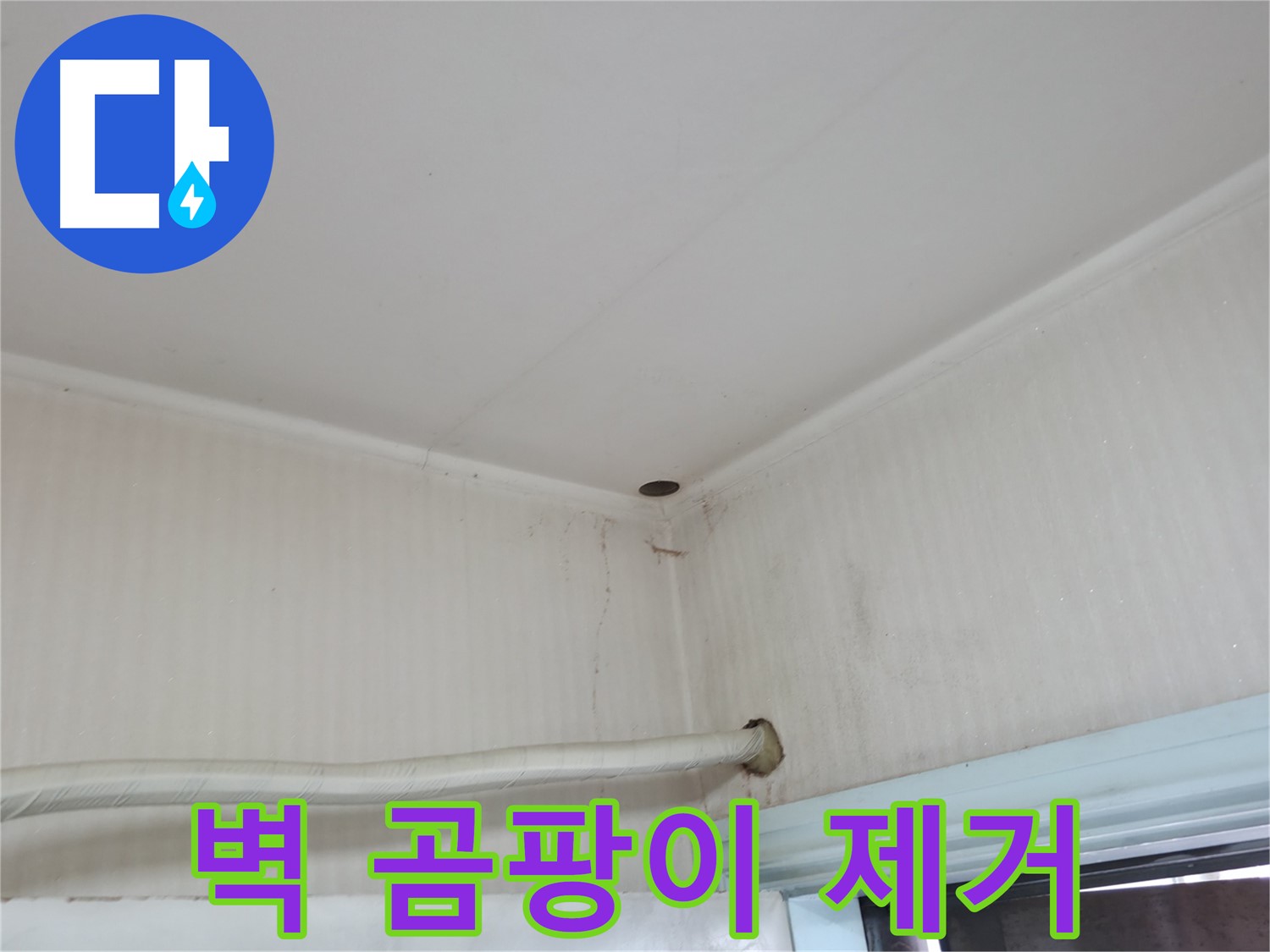 서초구 명달로4길 벽 곰팡이 - 누수 해결이 우선입니다!