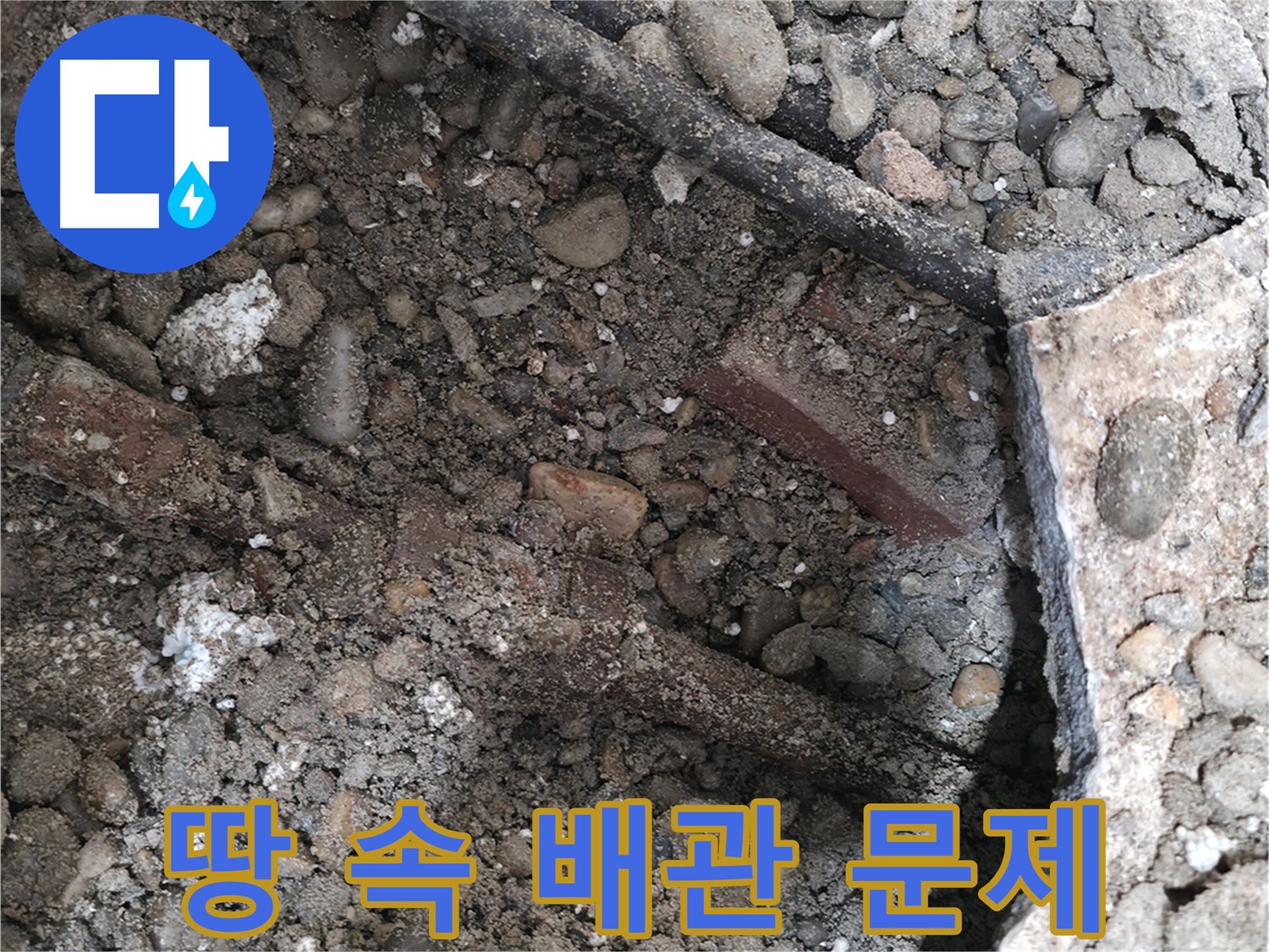 양재동 건물 누수 현장 - 콘크리트 틈새와 젖은 흙, 누수의 확실한 증거입니다 - 빠른 조치가 필요합니다.