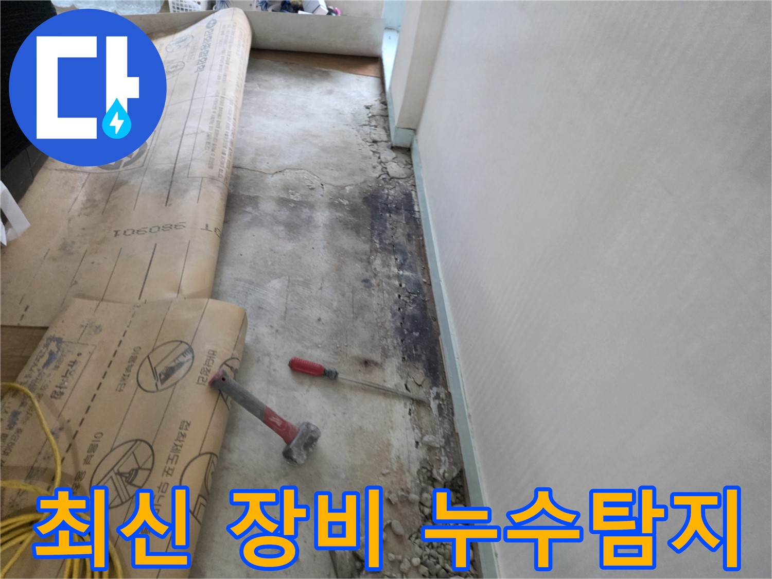 서초구 서초2동 누수 - 벽면 하단 곰팡이와 장판 들뜸 현장 확인
