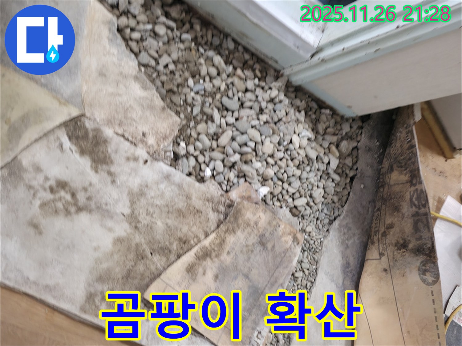 서초구 서초2동 누수 - 곰팡이 포자 확산 방지 - 젖은 자갈은 곰팡이의 온상