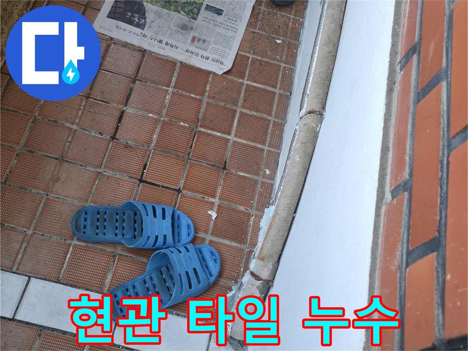 서초구 서초2동 누수 - 현관 타일 틈새로 물이 스며드는 현상 발견