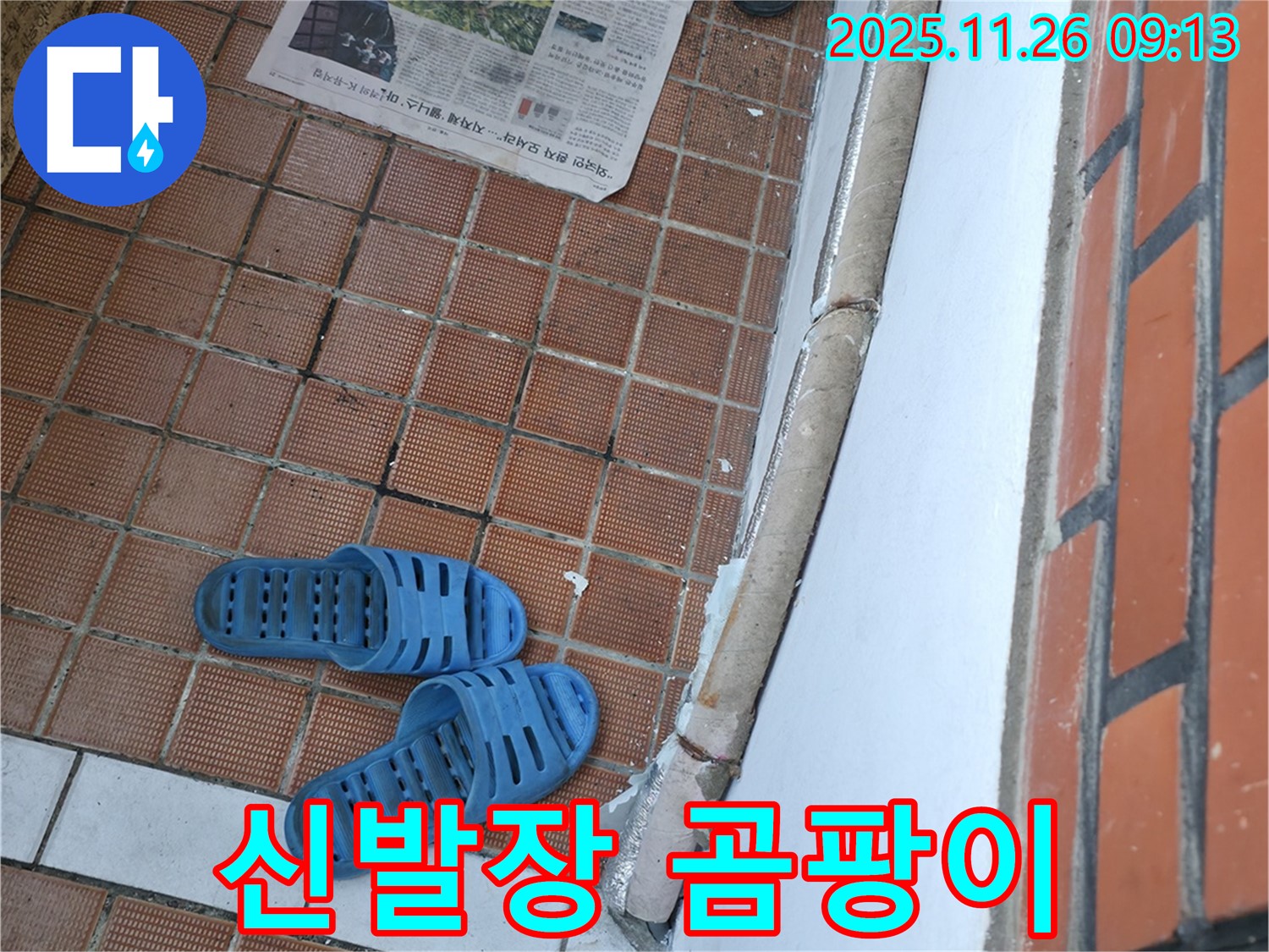 서초구 서초2동 누수 현장 - 신발장 하단 습기로 인한 곰팡이 및 악취 문제
