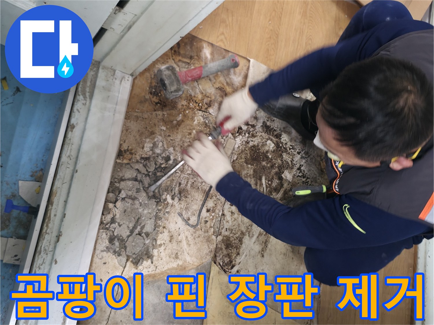 서초구 서초2동 명달로4길 곰팡이 핀 장판 제거 - 누수로 인해 곰팡이가 심하게 핀 장판을 제거하는 모습입니다.