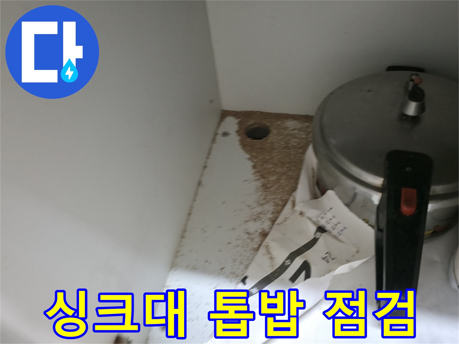 싱크대 밑 - 나무 부패 - 신속한 점검이 필요합니다.