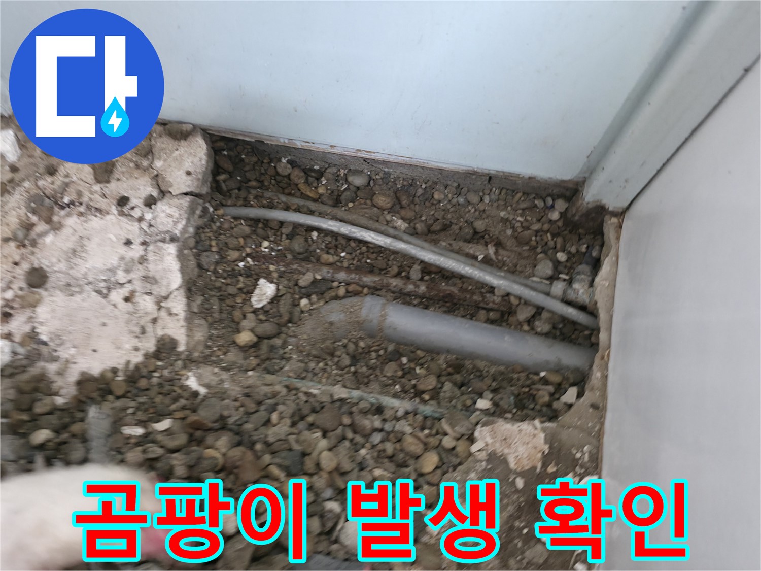 서초구 서초동 명달로4길 누수 - 배관 주변의 곰팡이 발생 여부를 확인합니다.