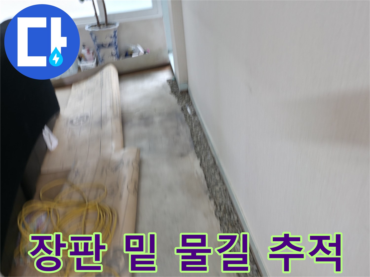 서초구 서초동에서 장판 밑에 숨겨진 물길을 추적하여 누수 원인을 탐지하는 과정입니다.