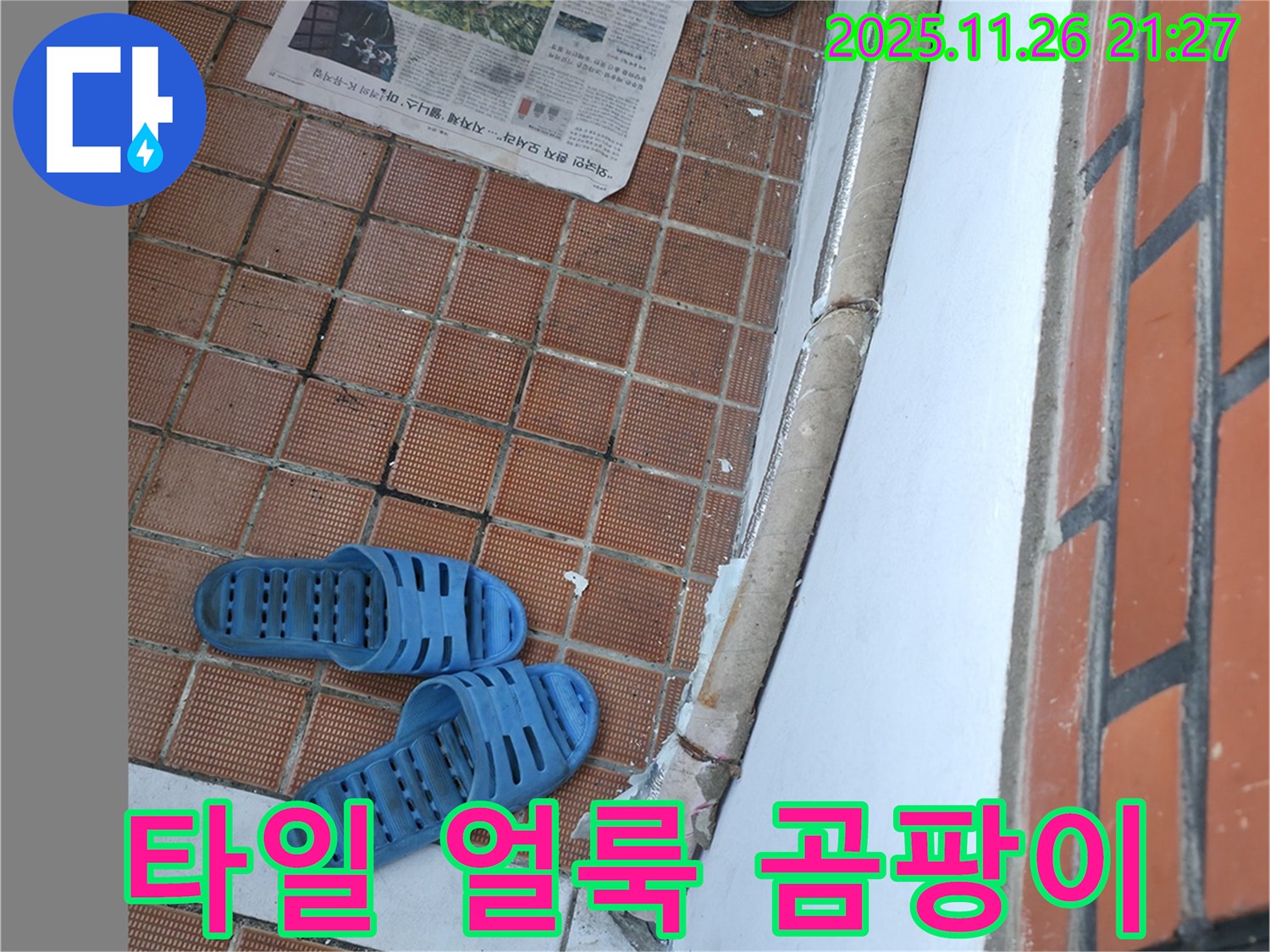 서초동 명달로4길 현관 누수 현장 - 타일 얼룩으로 인한 미관 저해 및 곰팡이 발생