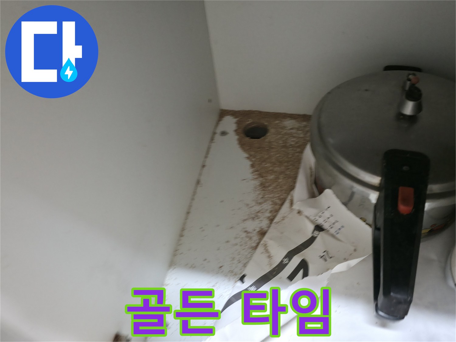 싱크대 하부 - 톱밥 - 2차 피해 - 골든 타임 놓치지 마세요