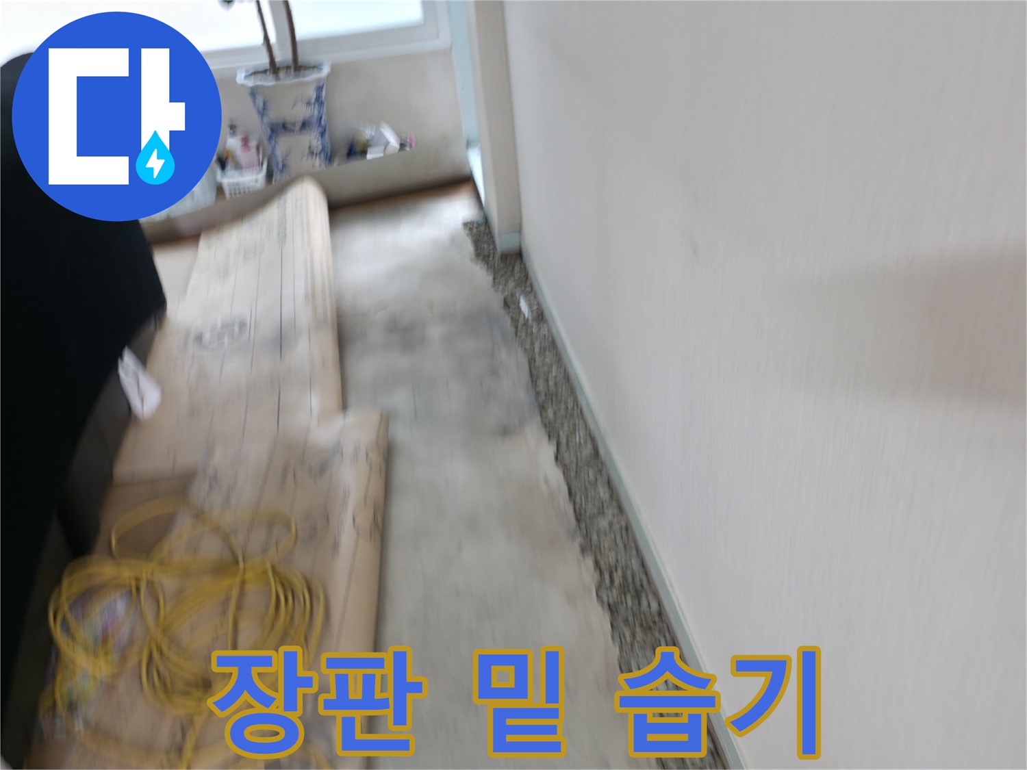 장판 밑 습기와 곰팡이 냄새의 원인을 찾는 서초 누수 점검 과정 이미지입니다.