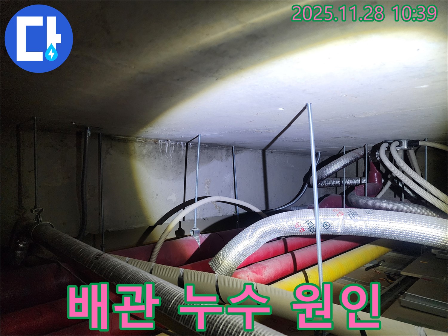 포천 신북면 금동리 누수 현장 - 복잡한 배관 속 숨겨진 누수 원인을 찾기 위한 노력 - 꼼꼼한 점검만이 답입니다.
