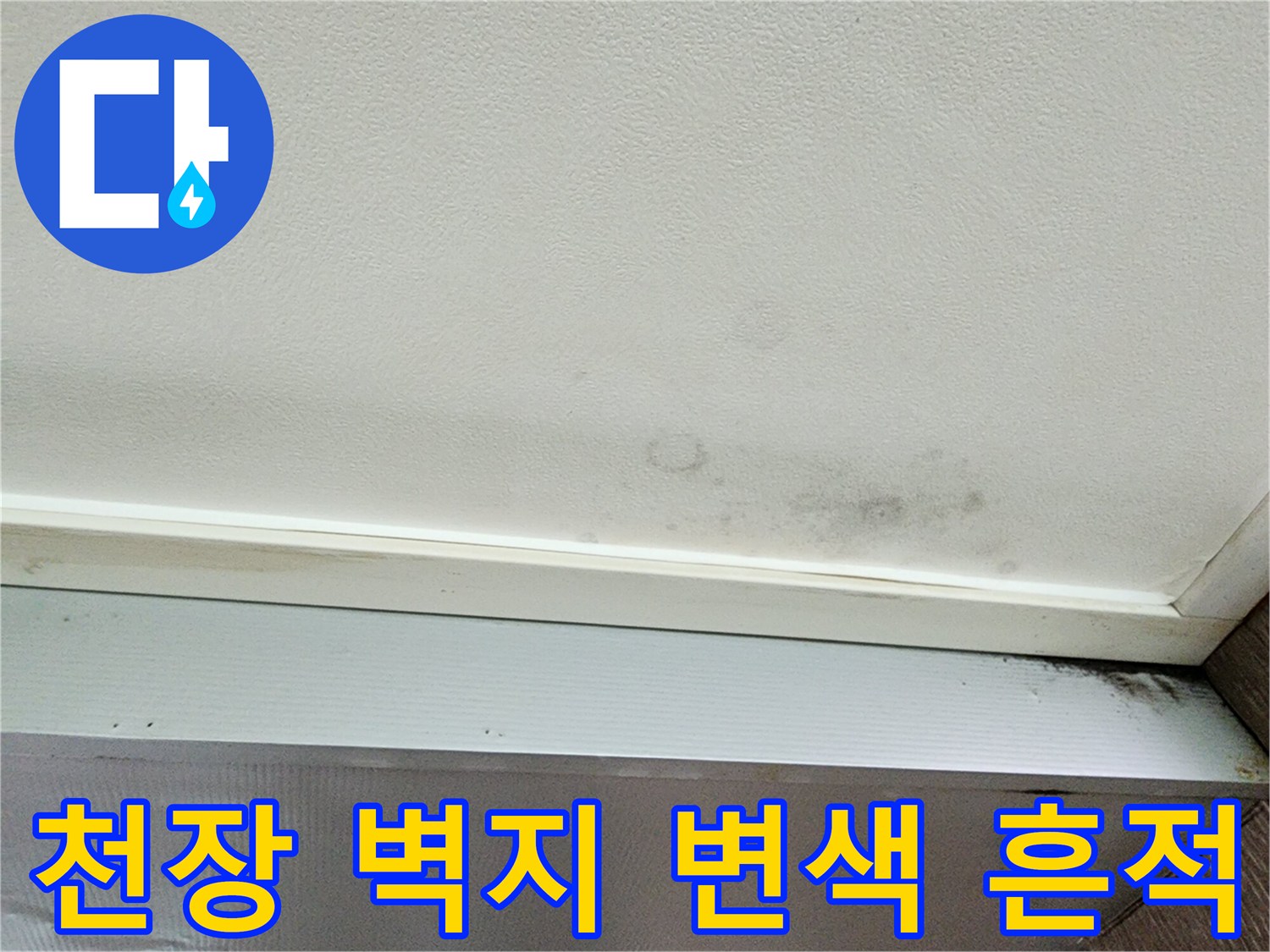 포천 신북면 현장의-천장 벽지 얼룩 및 변색 부위