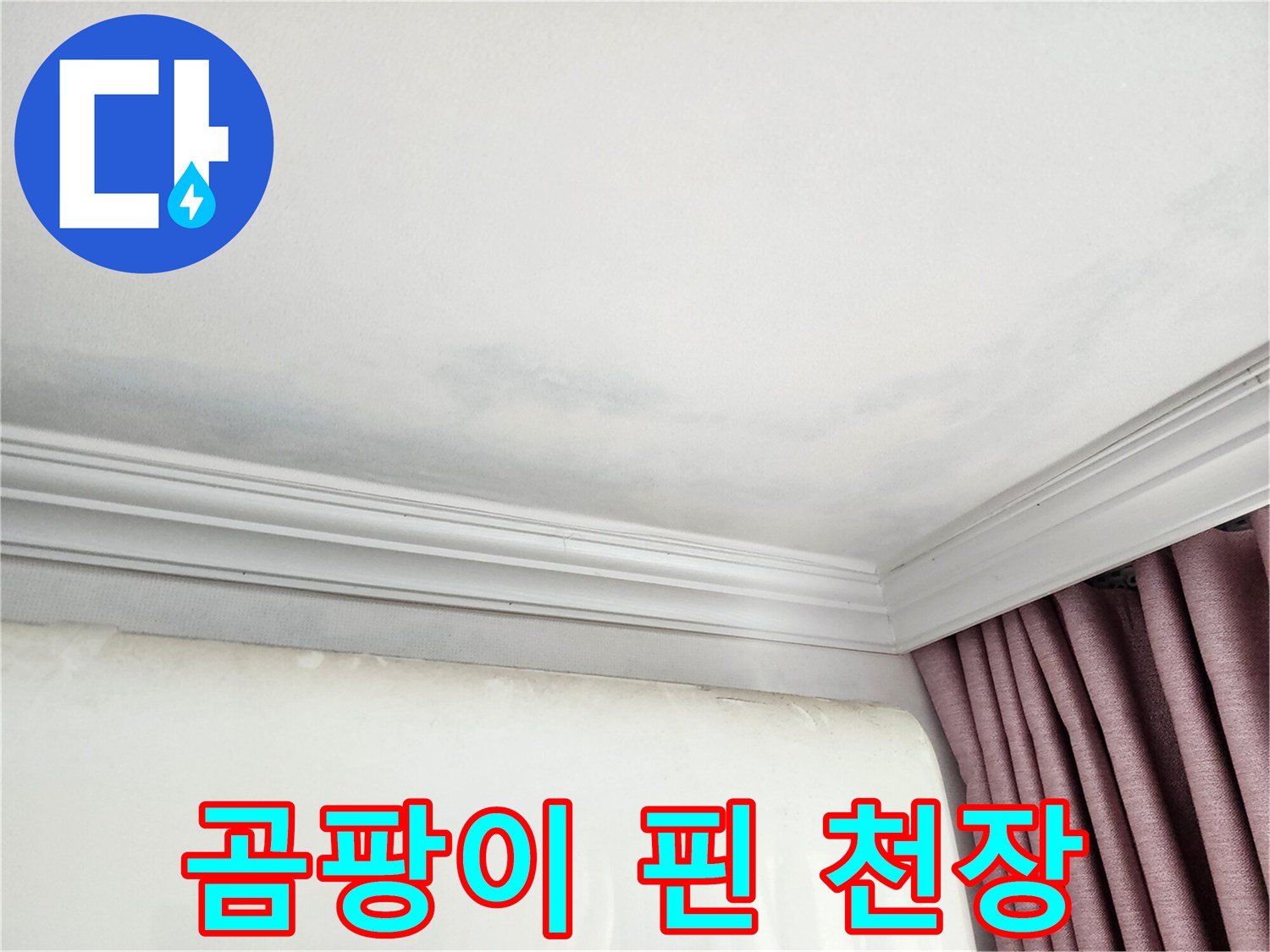 상대원동 아파트 천장 곰팡이 - 긴급 누수 점검 및 원인 파악