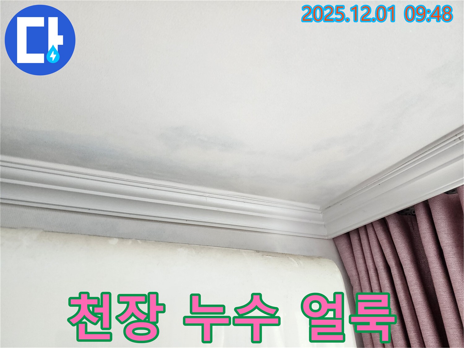 상대원동 아파트 천장 누수 - 초기 누수 얼룩 발견 및 누수 가능성 진단