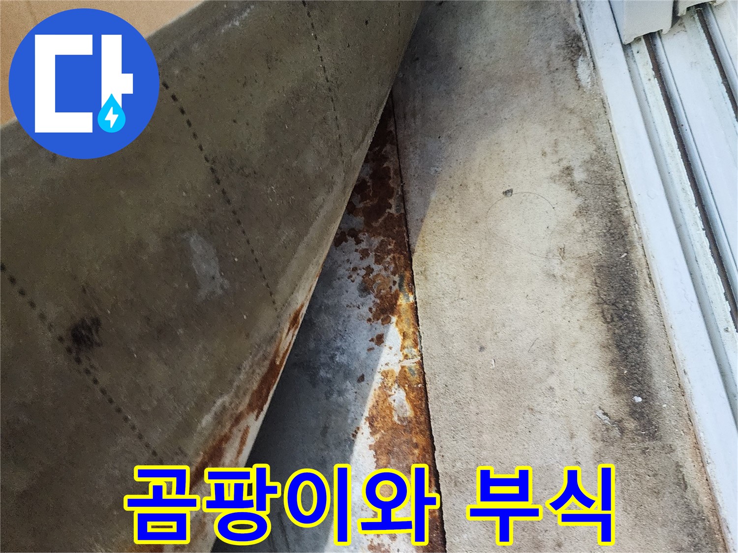 수원 장안구 파장동 삼성아파트 - 곰팡이와 철골 부식이 함께 나타난 누수 현장, 건강과 안전을 위협합니다.