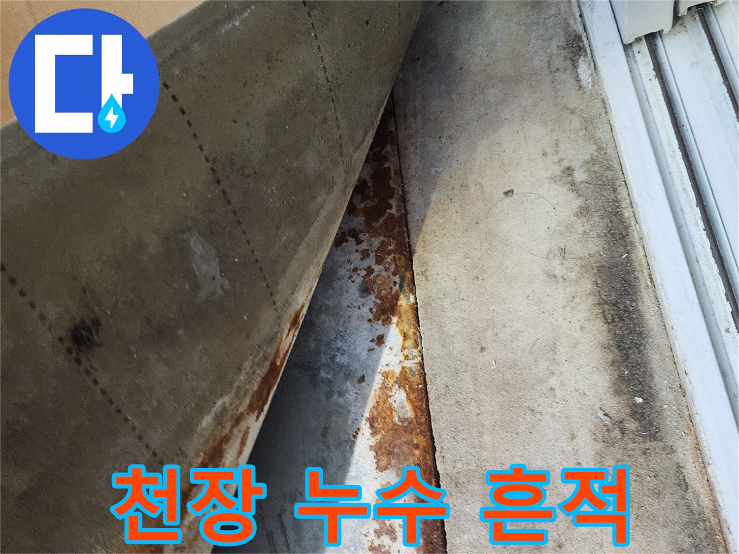 수원 장안구 파장동 삼성아파트 천장에서 발견된 누수 흔적 - 물 얼룩과 곰팡이가 누수의 심각성을 보여줍니다.
